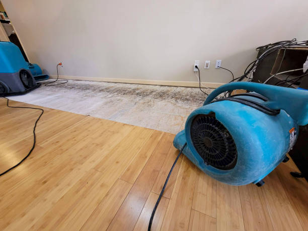 Professional Ceiling Water Damage Repair technician working in O'Neals, CA